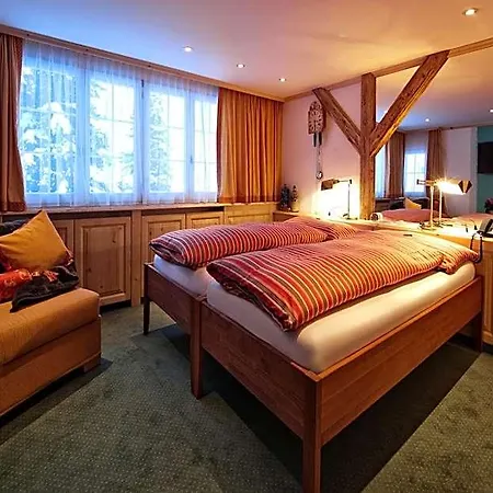 호텔 Arlenwald 3*