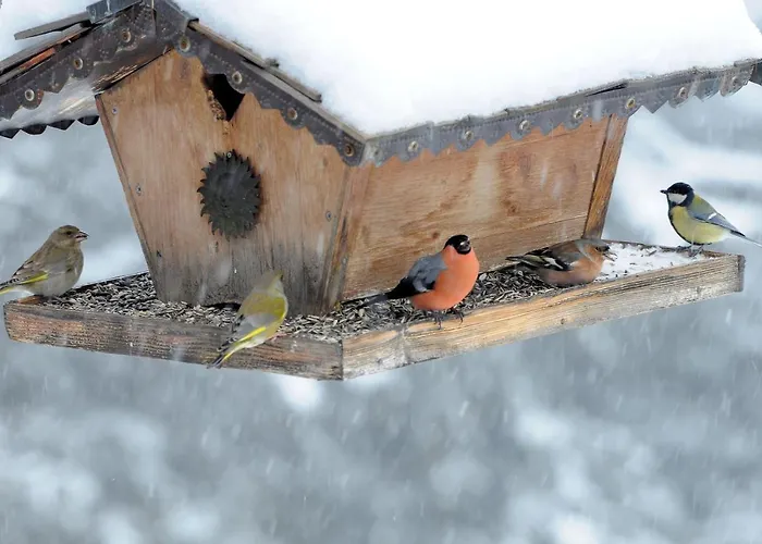 Otel Arlenwald Arosa